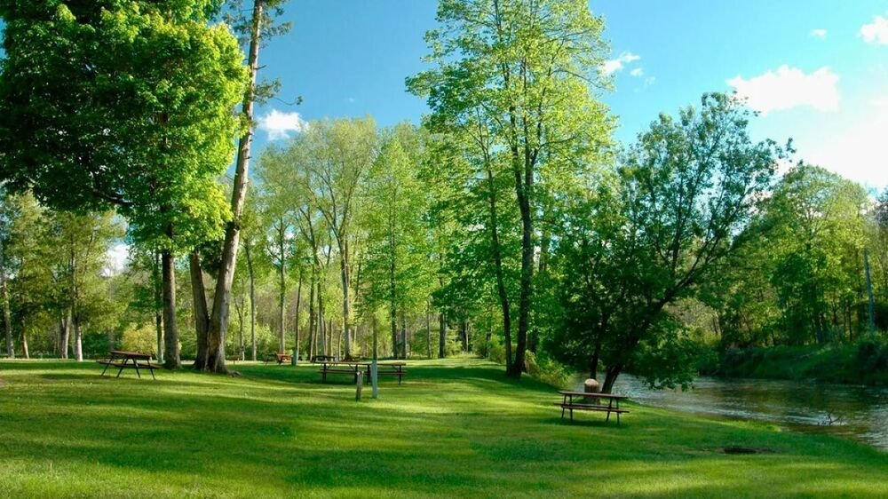 Rifle River | 163-Site Campground | Sterling, MI